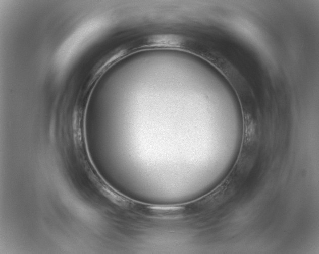 X0000079311487200612011803