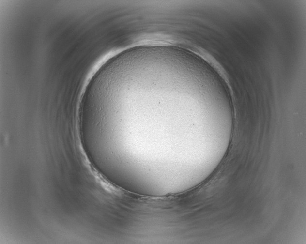 X0000079311488200612011803