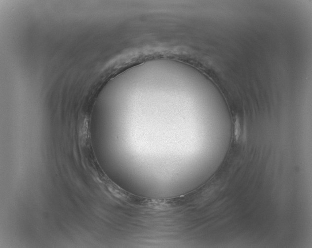 X0000079311492200612011802