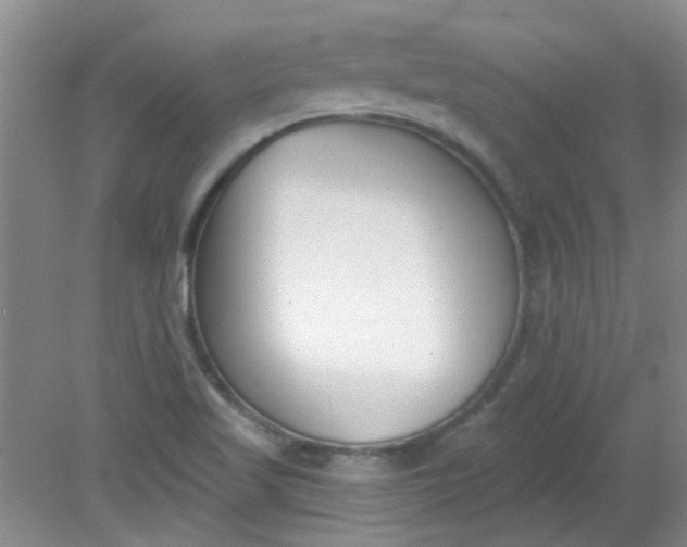 X0000079311509200612011803
