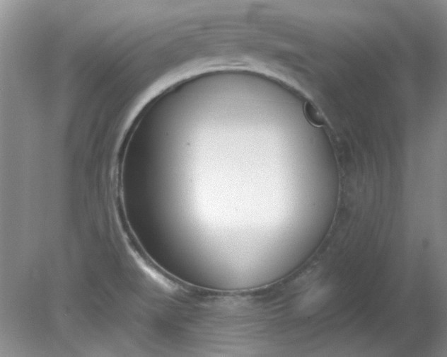 X0000079311519200612011803