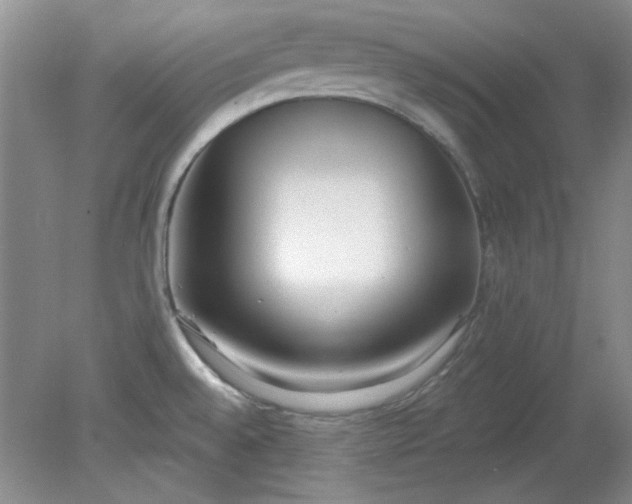 X0000079311528200612011803