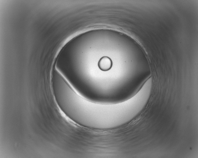 X0000079311535200612011803