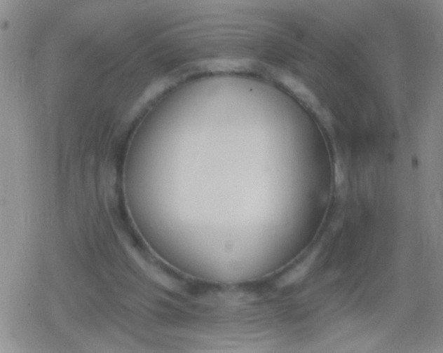 X0000079310201200612081917