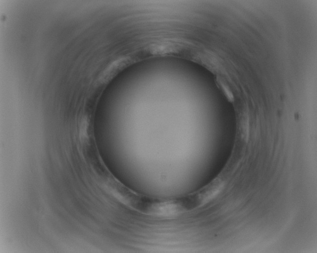 X0000079310219200612081917