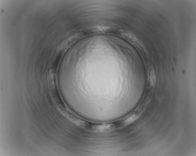X0000079310366200612081915