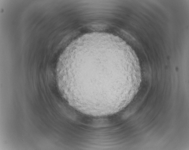 X0000079310371200612081915