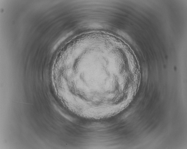 X0000079310390200612081914
