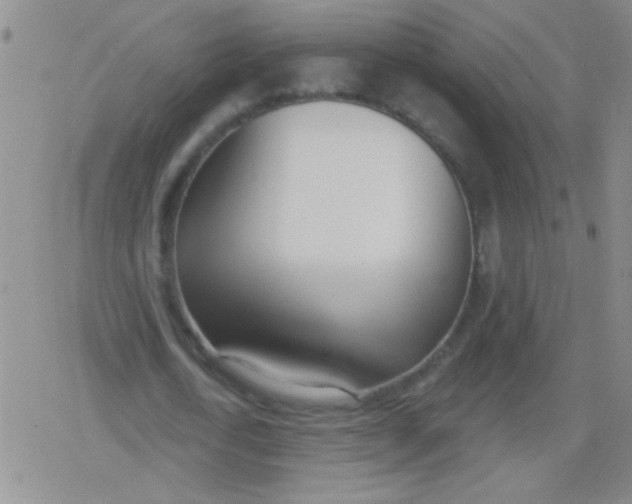 X0000079310722200612081908