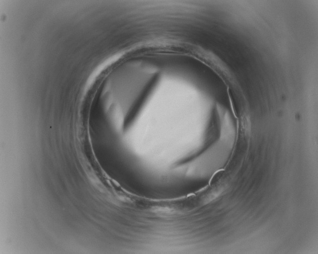 X0000079310724200612081908
