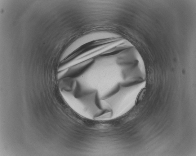 X0000079310748200612081908