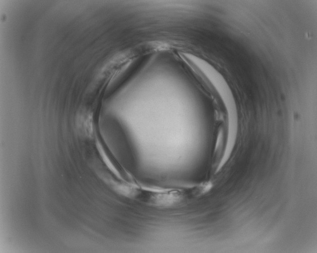 X0000079310766200612081909