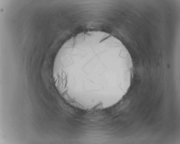 X0000079310817200612081906