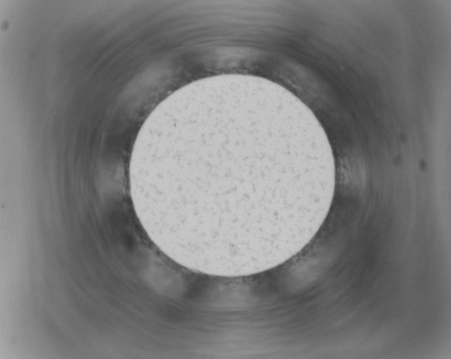 X0000079310820200612081907
