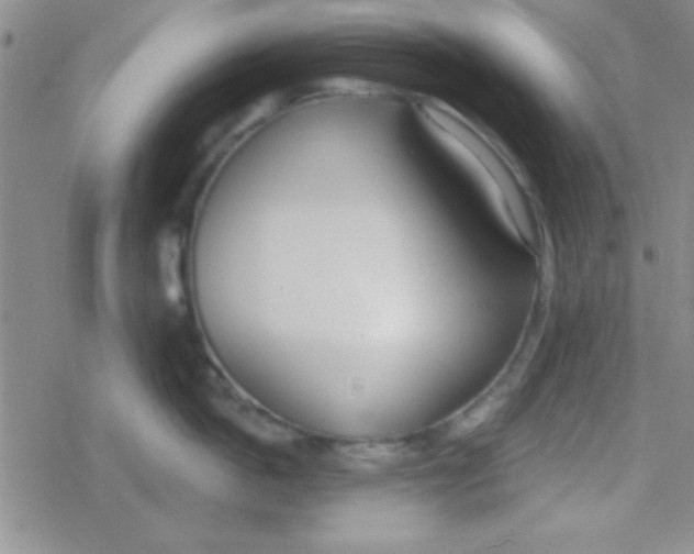 X0000079310862200612081907