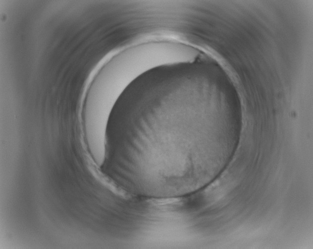 X0000079310864200612081907