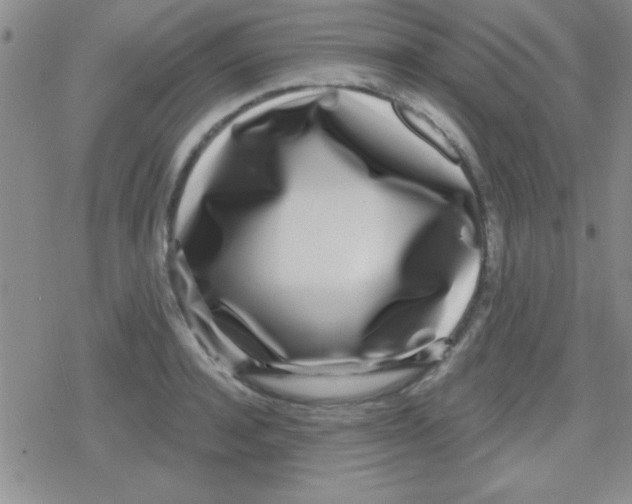 X0000079310944200612081905