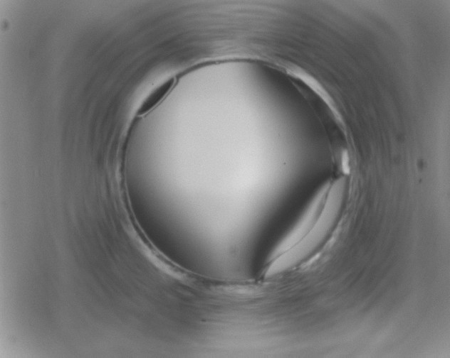 X0000079311197200612081901