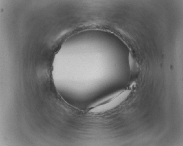 X0000079311206200612081900