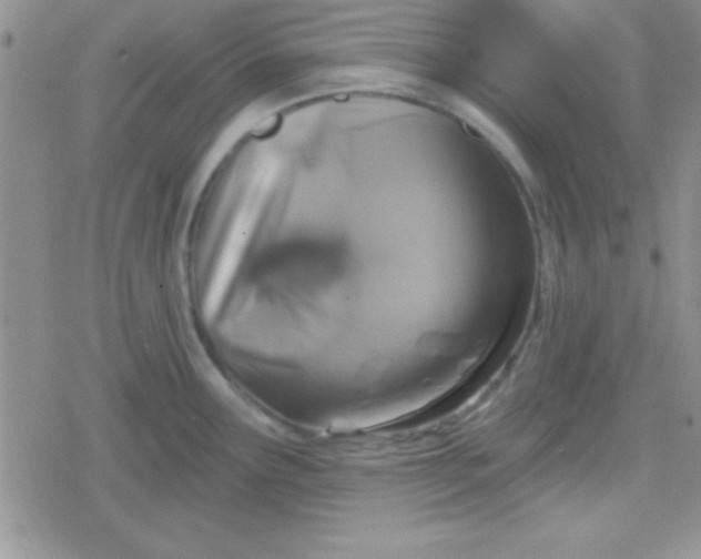 X0000079311291200612081859