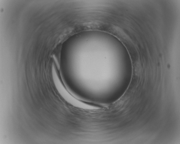X0000079311298200612081859