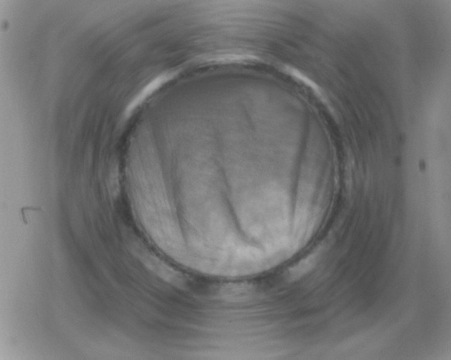 X0000079311306200612081859