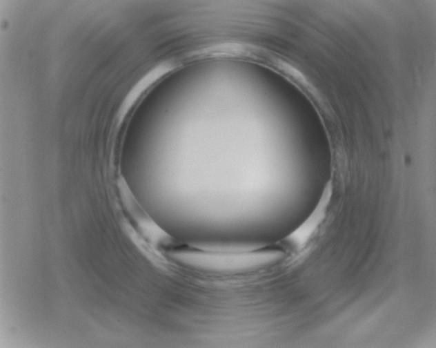 X0000079311426200612081858