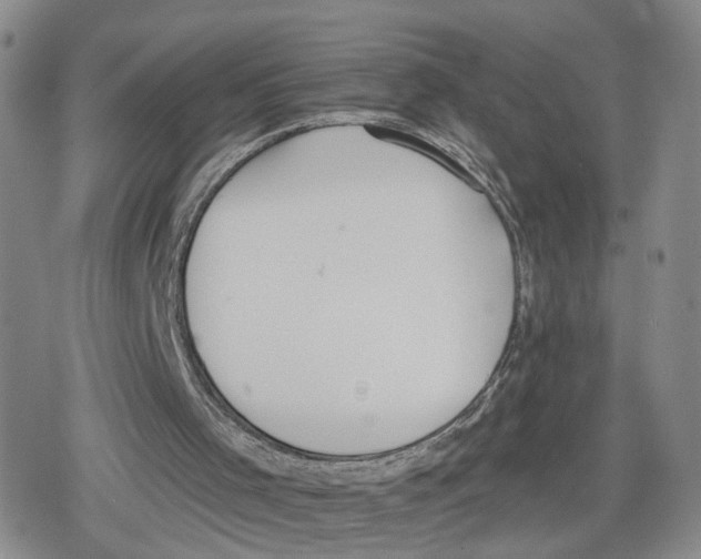 X0000079310001200612151804