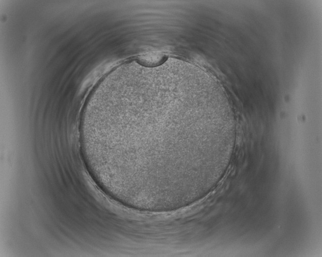 X0000079310002200612151804