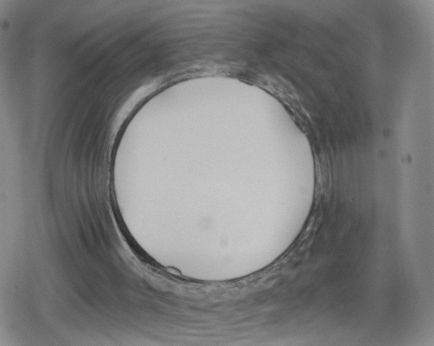 X0000079310003200612151804