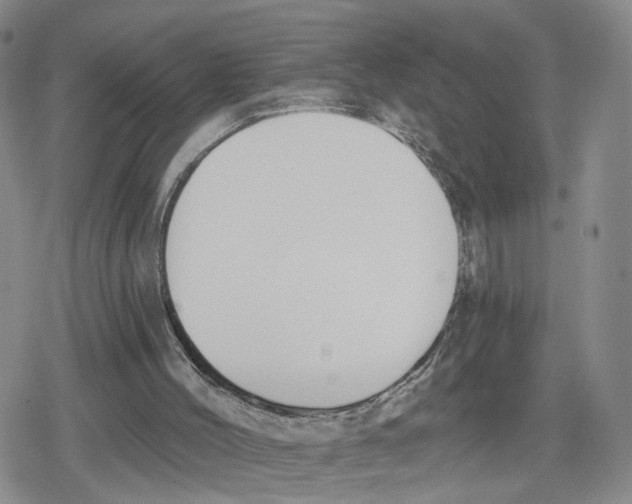 X0000079310004200612151804