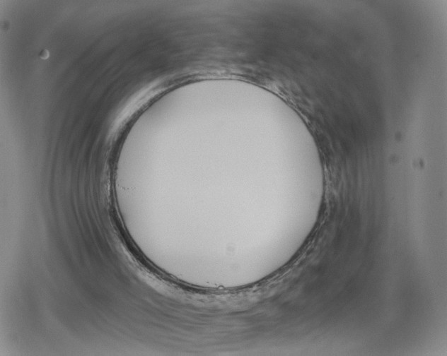 X0000079310005200612151804