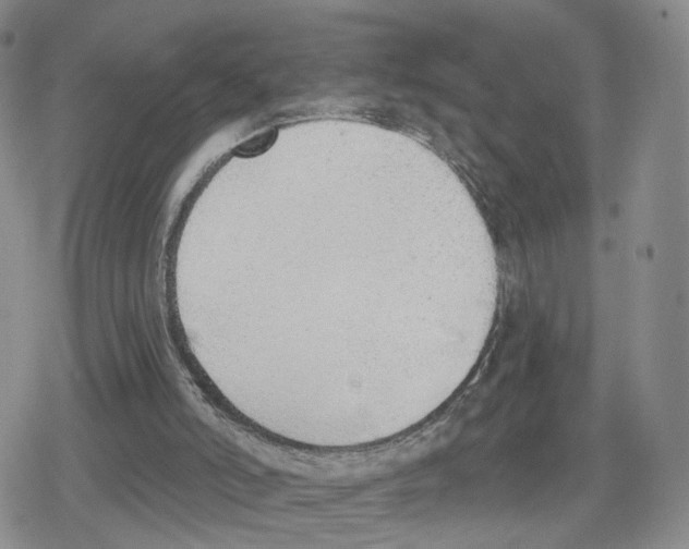 X0000079310006200612151804