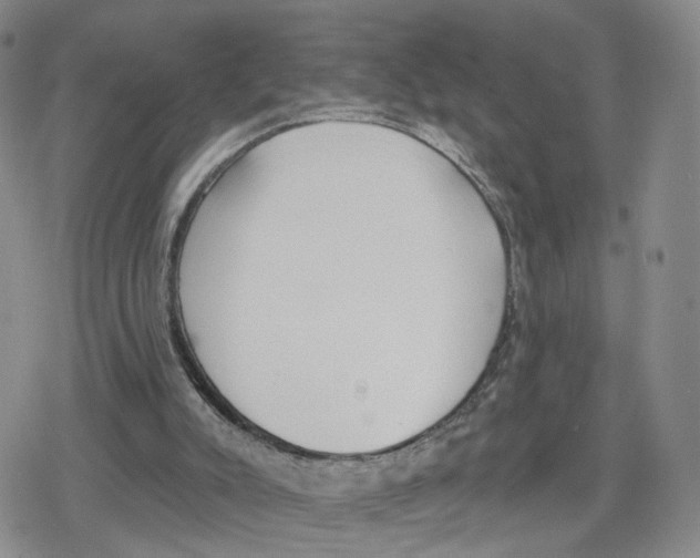 X0000079310007200612151804