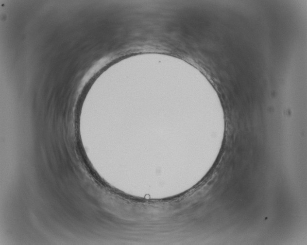 X0000079310008200612151804