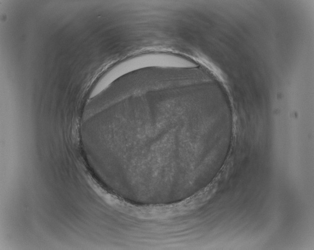 X0000079310009200612151804