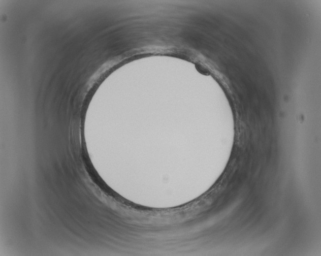 X0000079310011200612151803