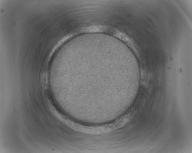 X0000079310012200612151803