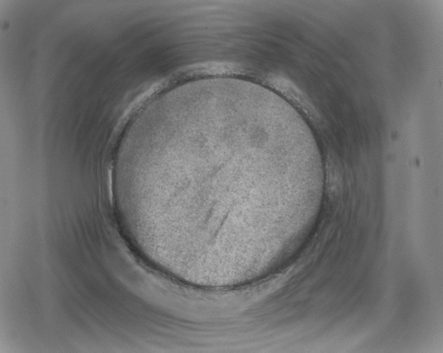 X0000079310014200612151803