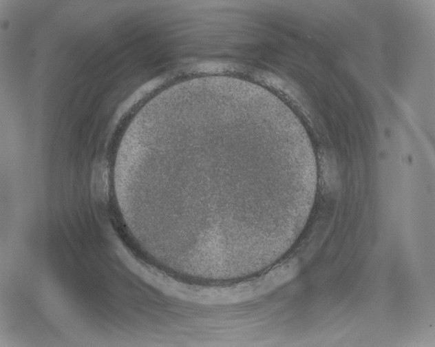 X0000079310016200612151803