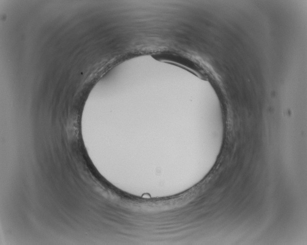 X0000079310017200612151803