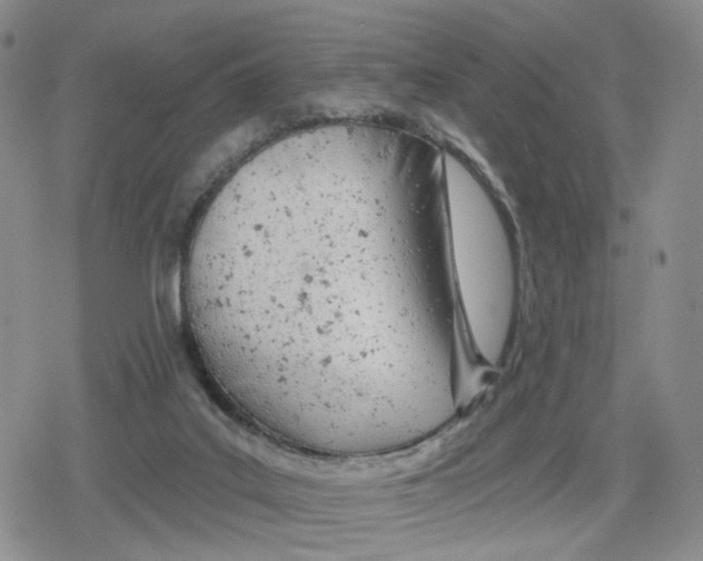 X0000079310019200612151803