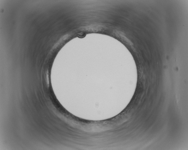 X0000079310020200612151803