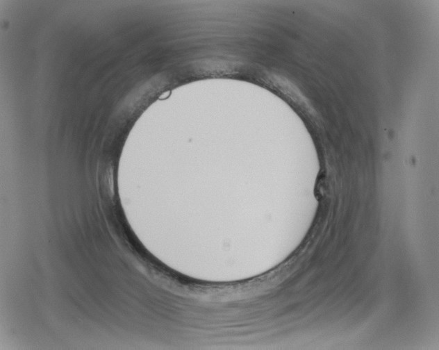 X0000079310021200612151803