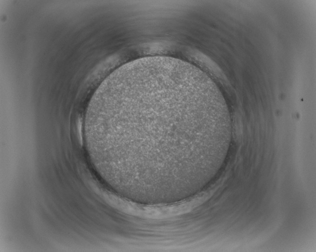 X0000079310022200612151803