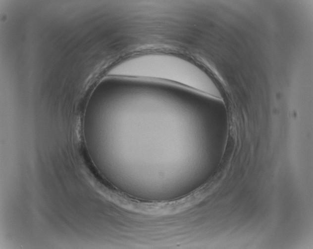 X0000079310023200612151803