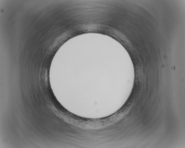 X0000079310024200612151803