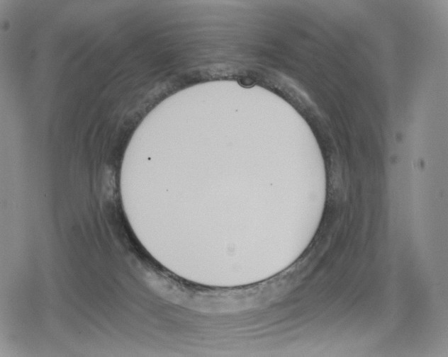 X0000079310025200612151803