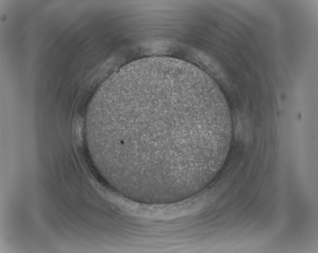 X0000079310026200612151803