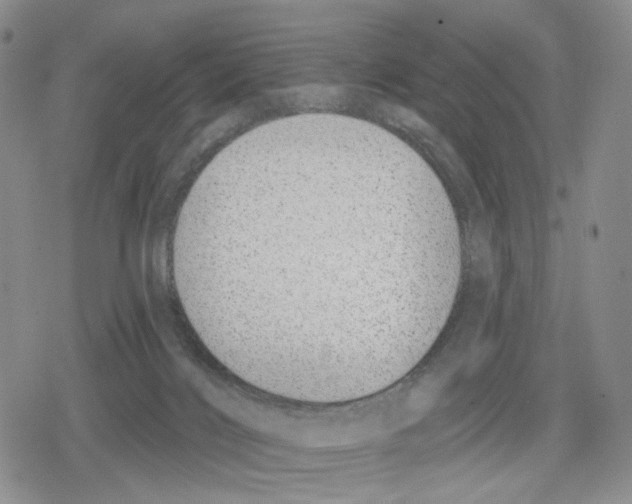 X0000079310028200612151803